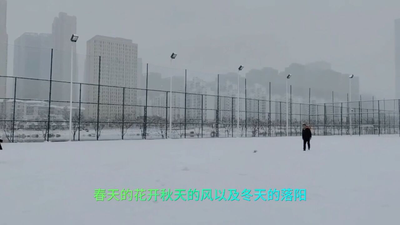 武汉龙年第一场雪.雪趣