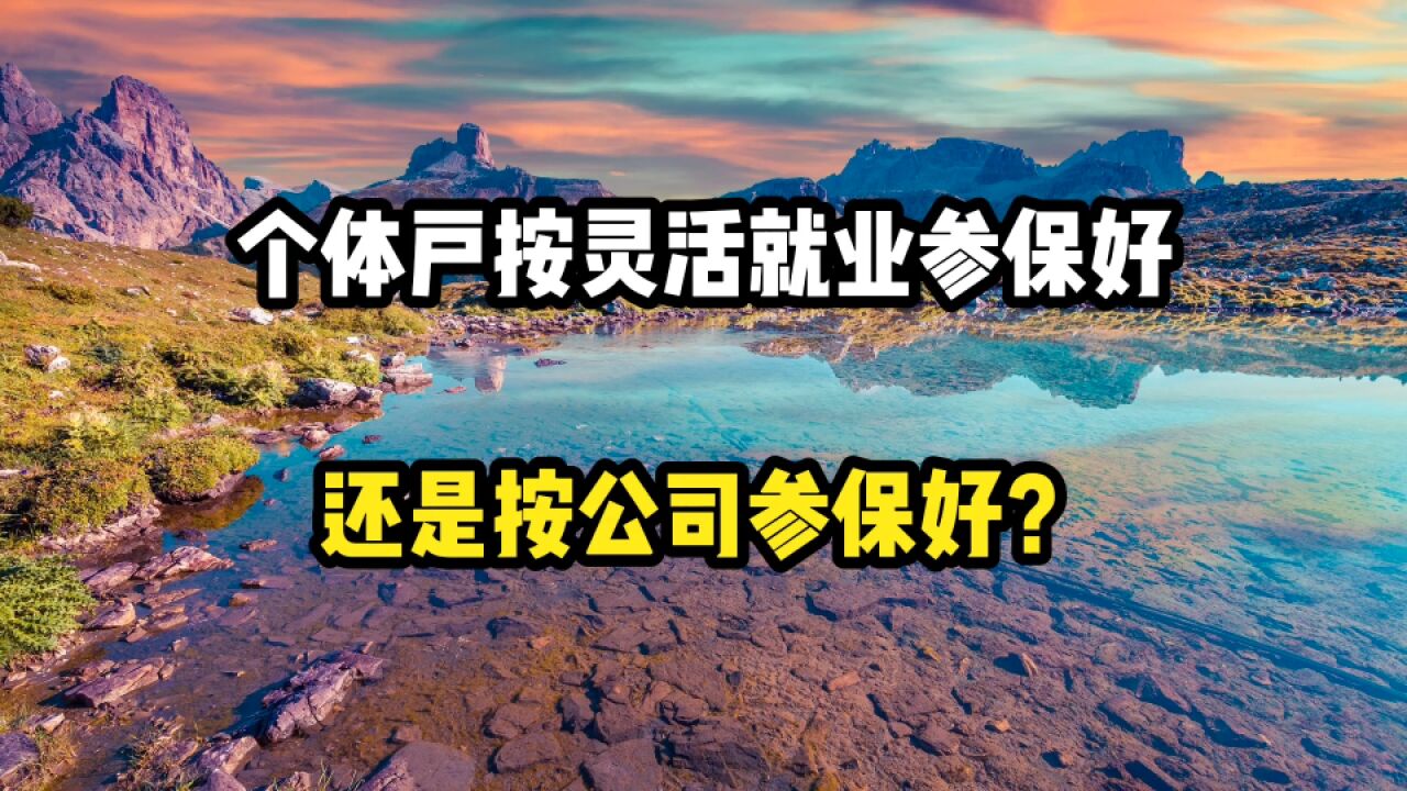 个体户,按灵活就业缴纳社保好,还是公司形式参保好?