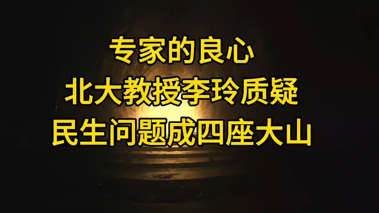 专家的良心北大教授李玲质疑民生问题成四座大山