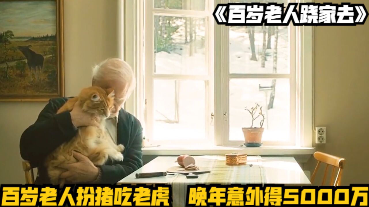 百岁老人扮猪吃老虎,晚年意外得5000万《百岁老人跷家去》