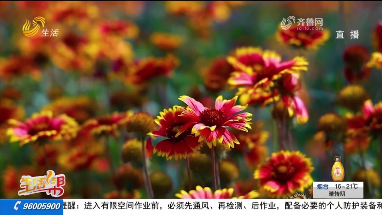 德州长河公园,展现生态画卷