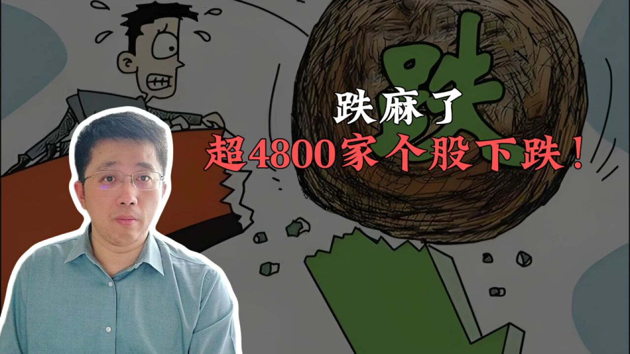 跌麻了,超4800家个股下跌!