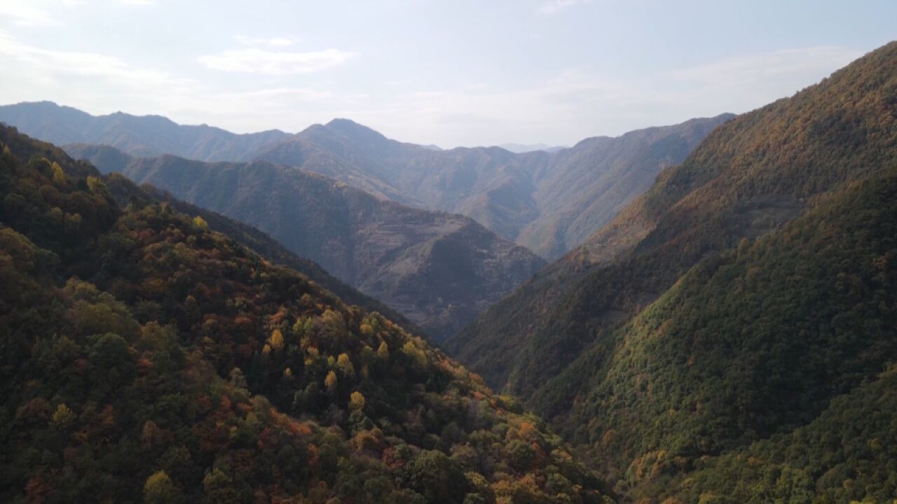 加强合作交流 推进野生动植物保护