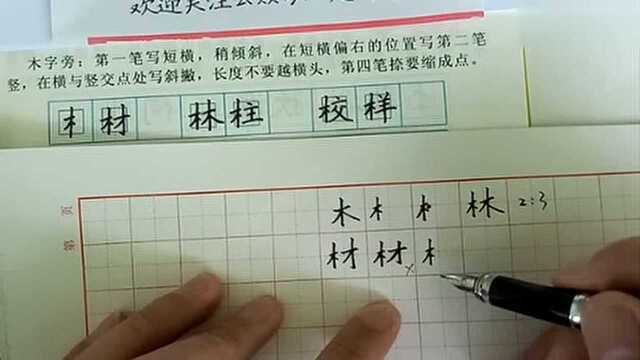 偏旁讲解示范:木字旁