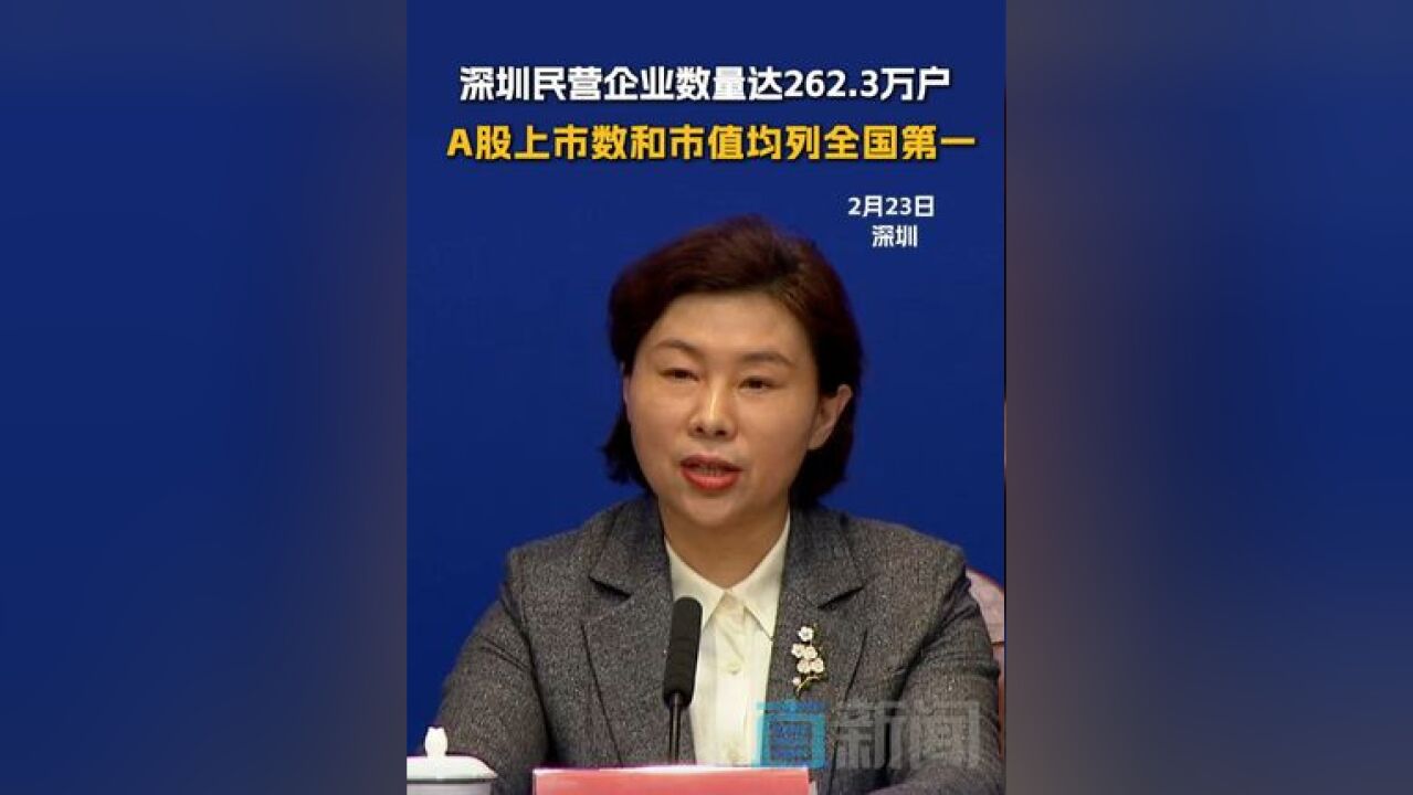 深圳民营企业数量达262.3万户 A股上市数和市值列全国第一 2月23日,深圳举行新闻发布会,介绍深圳打造最好科技创新生态和人才发展环境相关情况