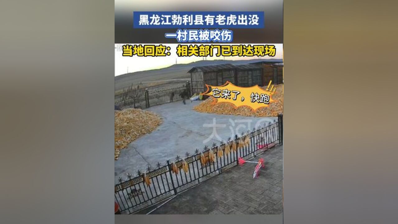 黑龙江勃利县有老虎出没,一村民被咬伤,当地回应:相关部门已到达现场.