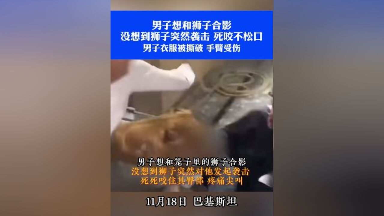 男子想和狮子合影,没想到狮子突然袭击,死咬不松口,男子衣服被撕破,手臂受伤