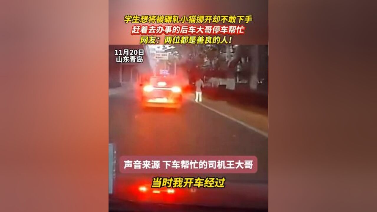 学生想将被碾轧小猫挪开却不敢下手,赶着去办事的后车大哥停车帮忙,网友:两位都是善良的人!