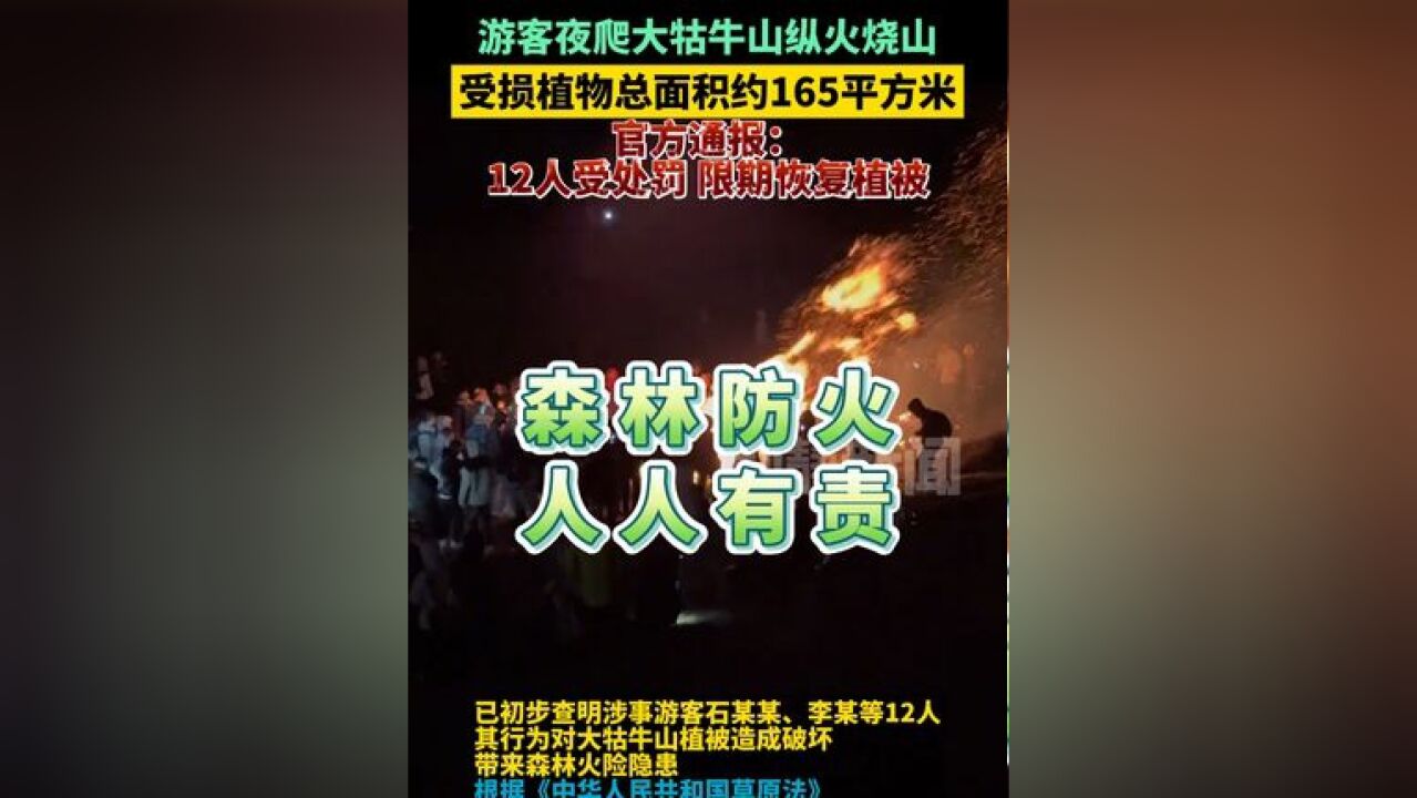 游客夜爬大牯牛山纵火烧山,受损植物总面积约165平方米,官方通报:12人受处罚,限期恢复植被