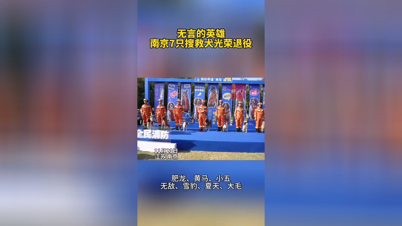 共同见证!南京消防7只搜救犬胸戴大红花退役