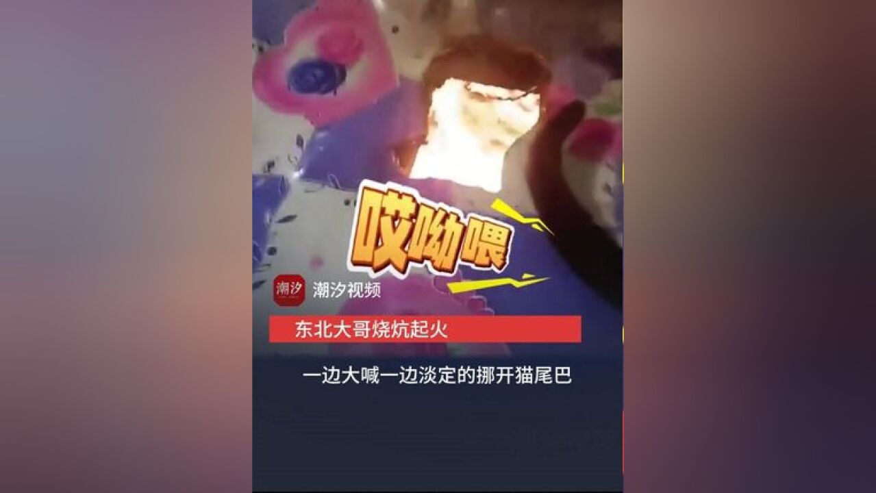 东北大哥烧炕起火 一边大喊一边淡定的挪开猫尾巴 网友:人遇到倒霉事真的会绷不住笑