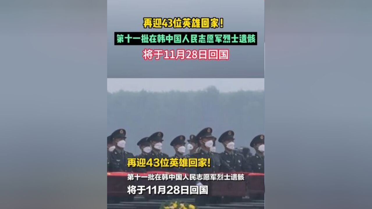 再迎43位英雄回家!第十一批在韩中国人民志愿军烈士遗骸将于11月28日回国