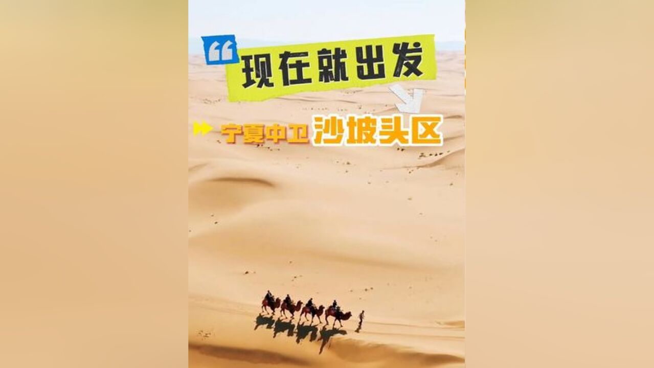 出发家族沙漠玩嗨了宁夏中卫沙坡头区和出发家族一起