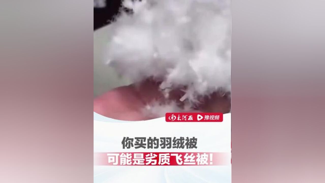 “都是套路 你干直播就知道了”央视曝光商家“以丝充绒”,你买的羽绒被可能是劣质飞丝被!