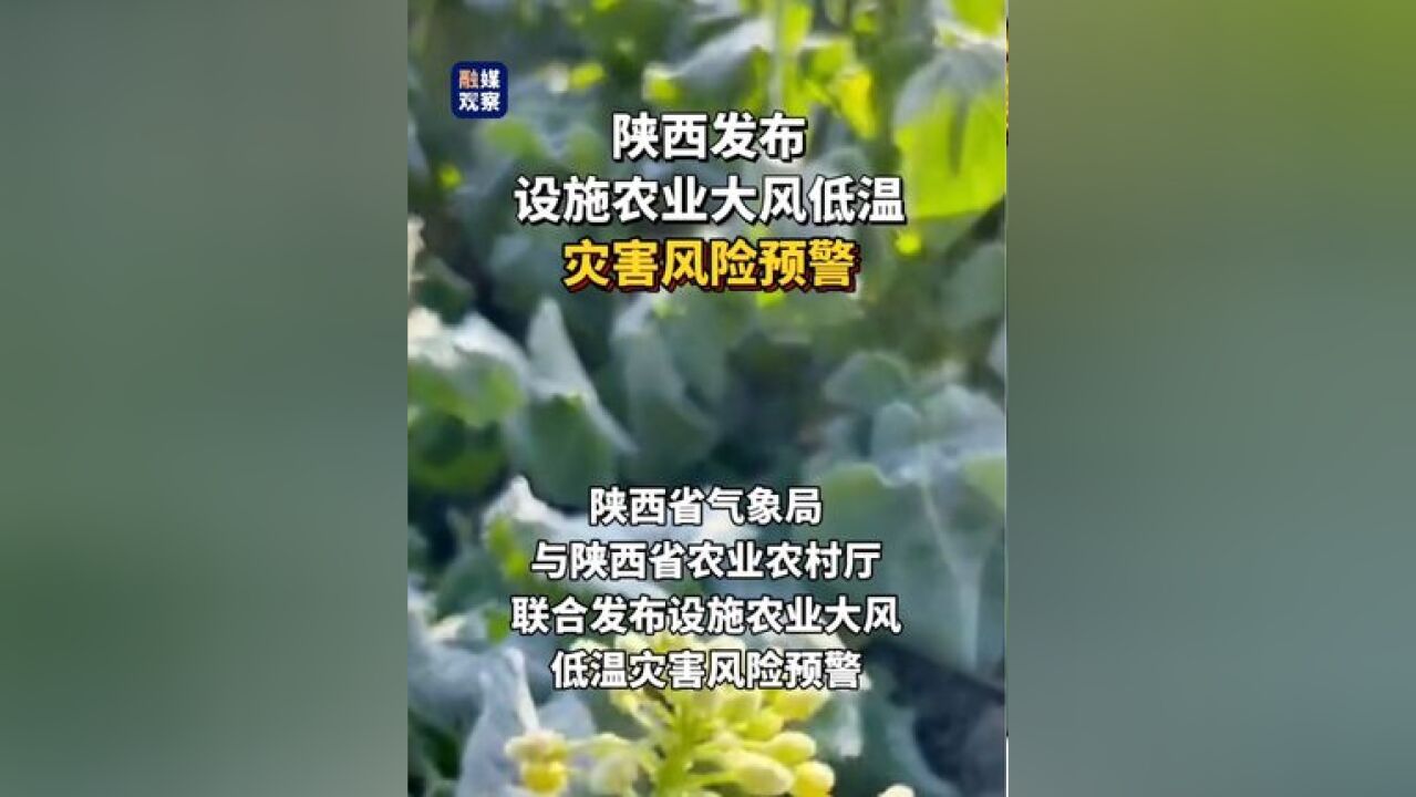 陕西发布设施农业大风低温灾害风险预警