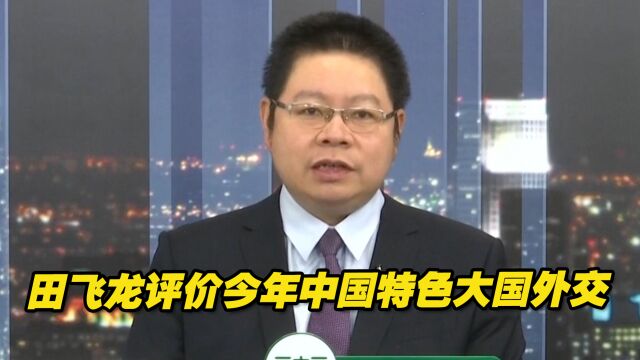 田飞龙评价今年中国特色大国外交:着眼人类命运共同体