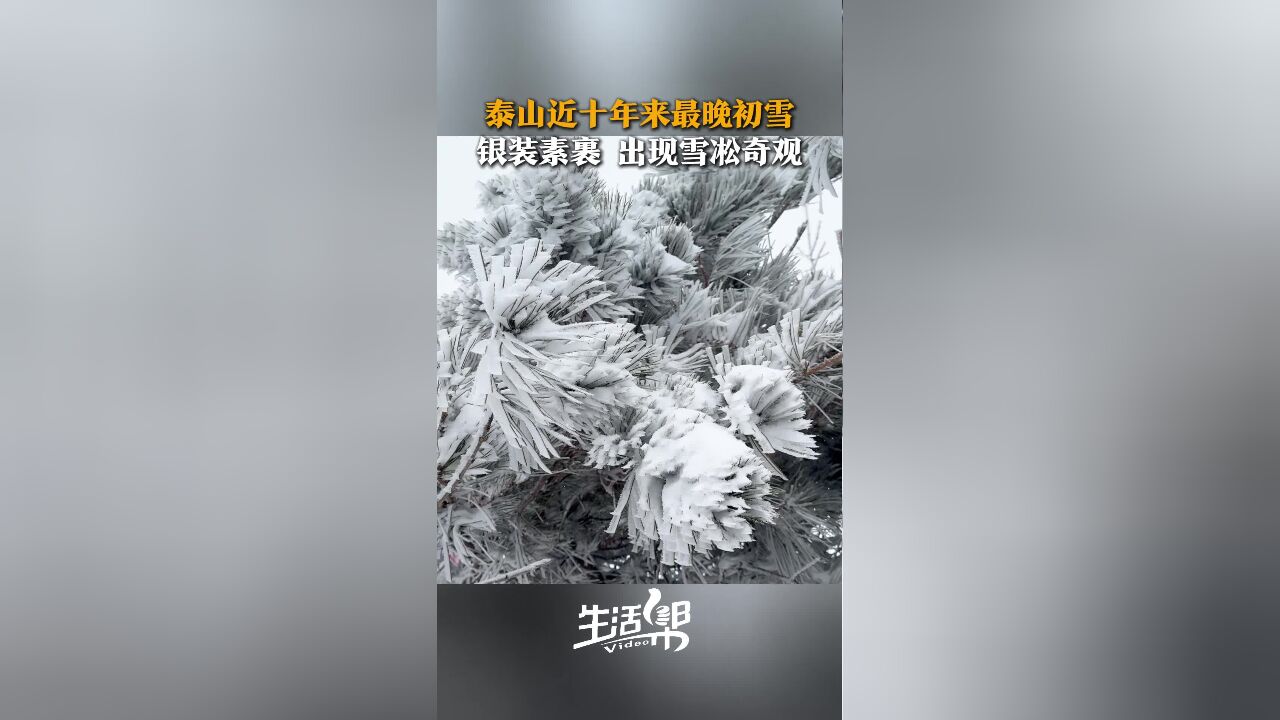 泰山近十年来最晚初雪来了!泰山景区银装素裹 还出现了雪凇奇观