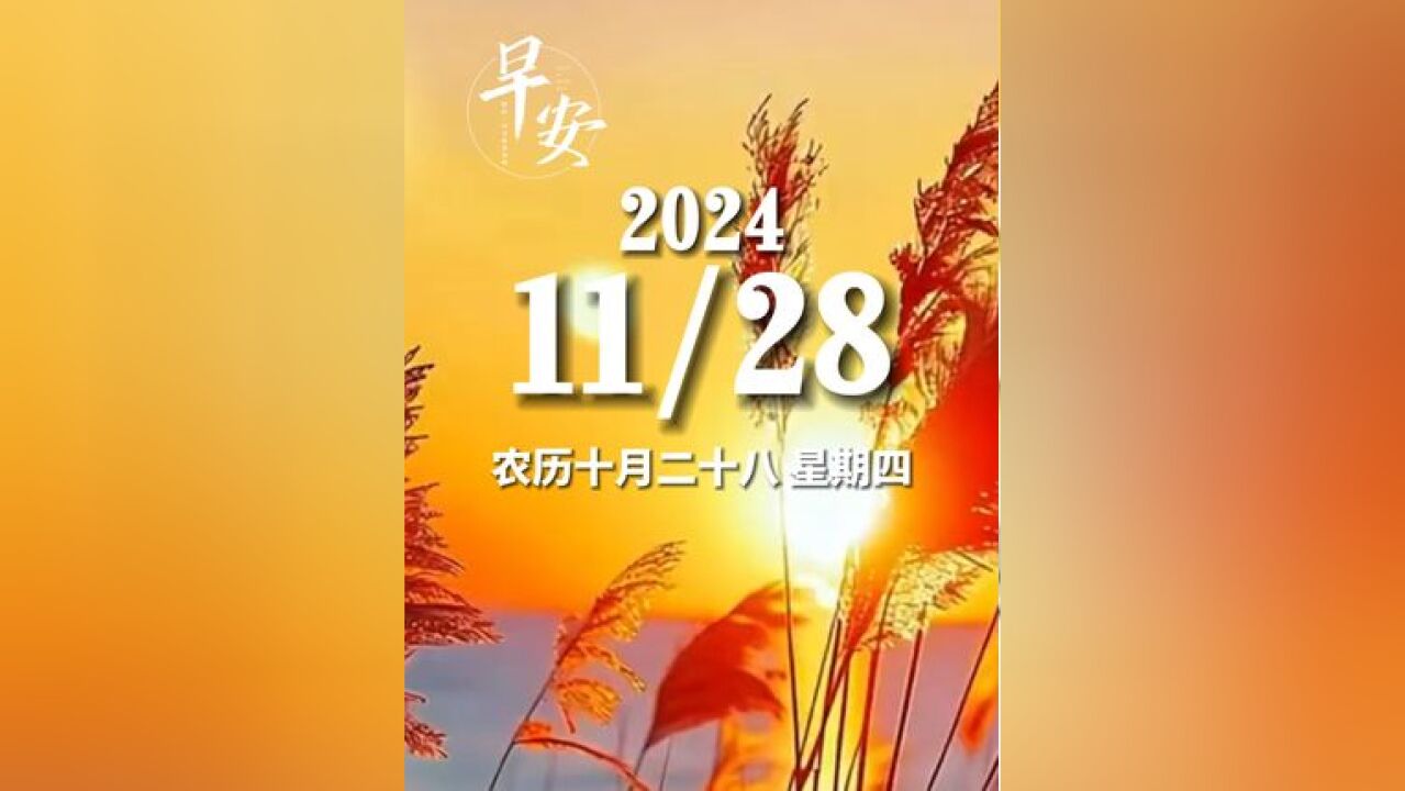 早安青岛 今天是11月28日 星期四 早安 生活每天都是限量版,努力使每一天都开心而有意义