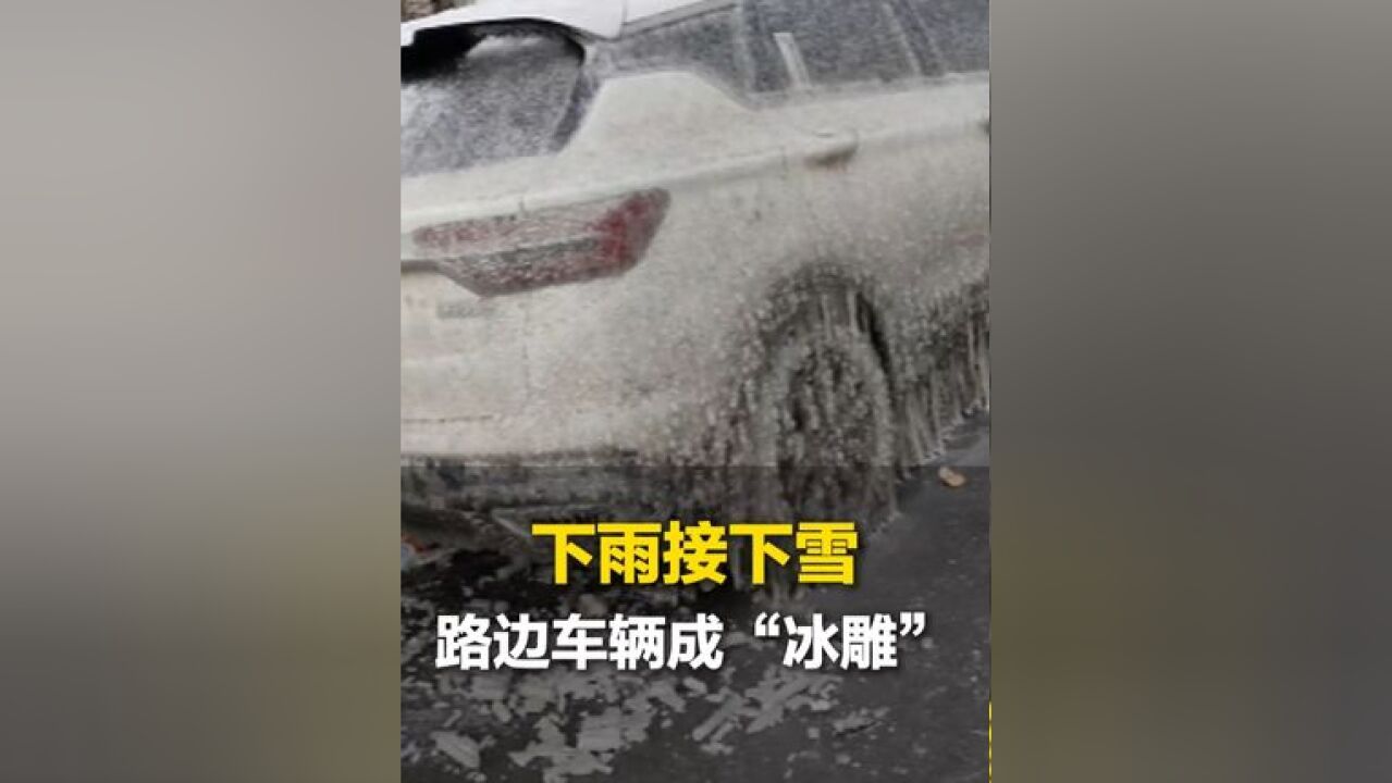 11月27日,辽宁沈阳,下雨接下雪,路边车辆成“冰雕”,网友:在线求助如何解决