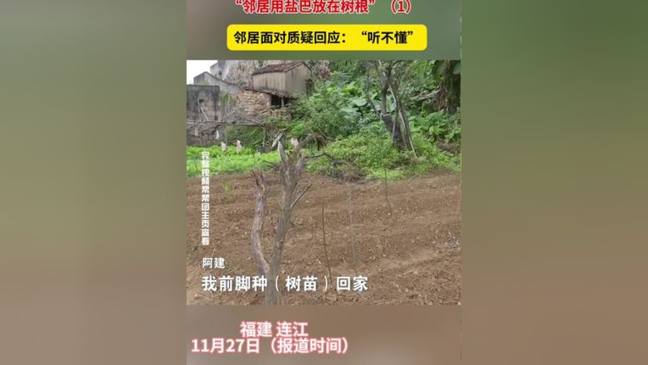 村民怀疑邻居:“前脚种树苗 后脚被拔掉”,“邻居用盐巴放在树根” 邻居面对质疑回应:“听不懂”