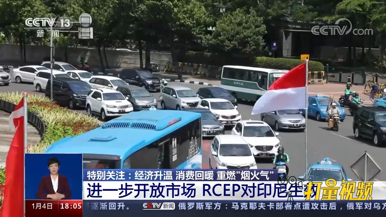 进一步开放市场,RCEP对印尼生效