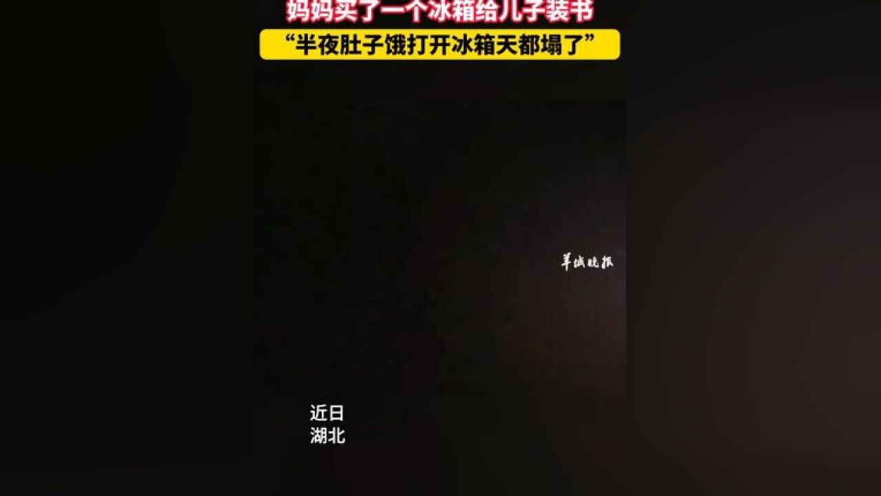 冷知识:这次真的是“冷”知识 妈妈买了一个冰箱给儿子装书 “半夜肚子饿打开冰箱天都塌了”