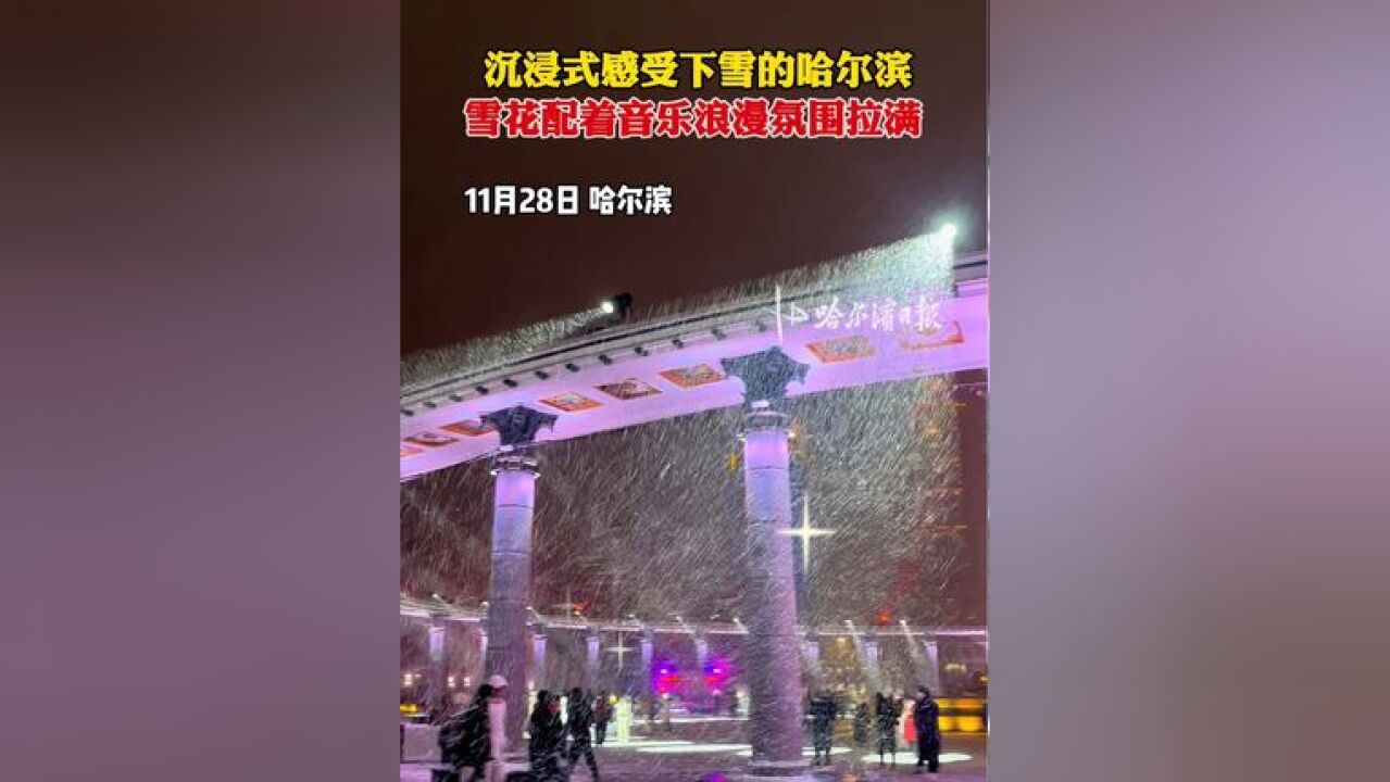 沉浸式感受下雪的哈尔滨,雪花配着音乐浪漫氛围拉满!