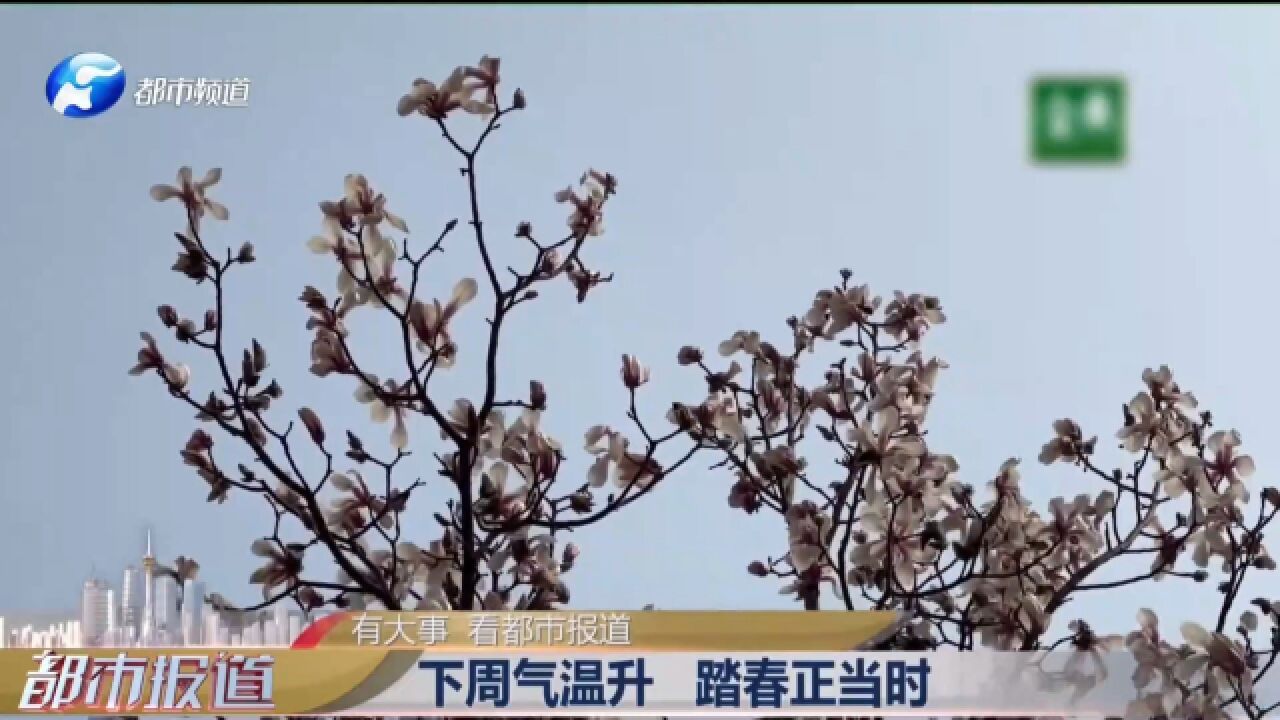 未来三天,郑州最高气温将冲击20℃,赏花踏春正当时