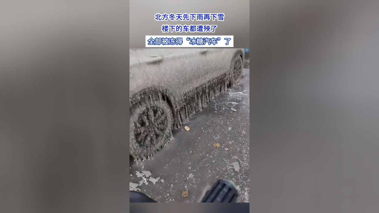 北方冬天先下雨再下雪,楼下的车都遭殃了