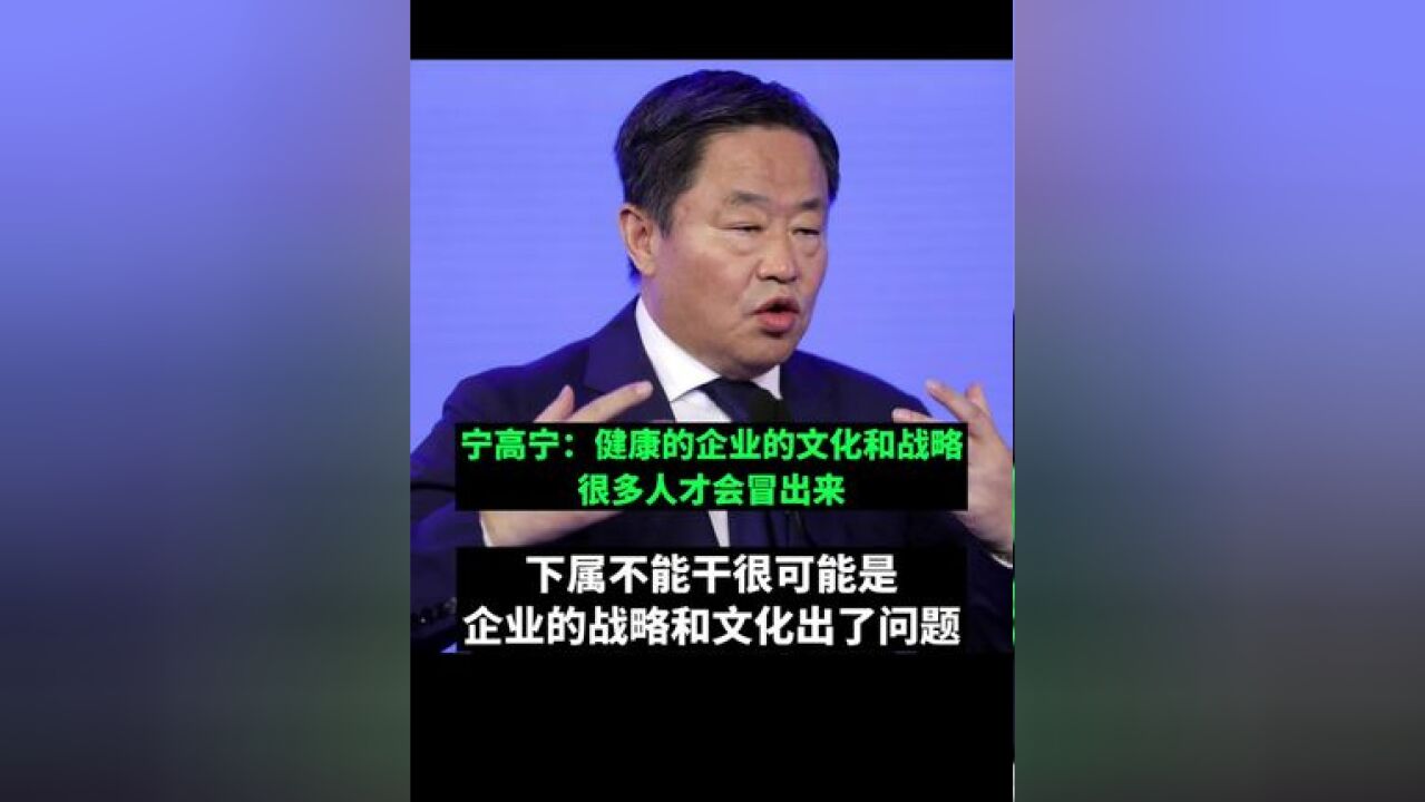 宁高宁:健康的企业的文化和战略很多人才会冒出来,下属不能干很可能是企业的战略和文化出了问题