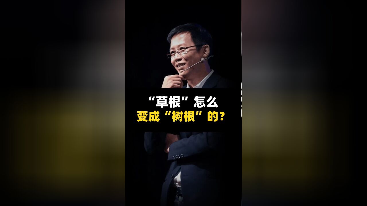 “草根”怎么变成“树根”的?