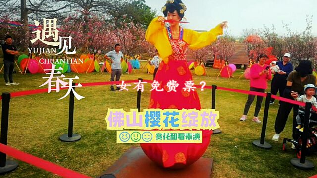 享佛山:春游梦里水乡百花园,樱花十分浪漫,女士怎获免费门票?