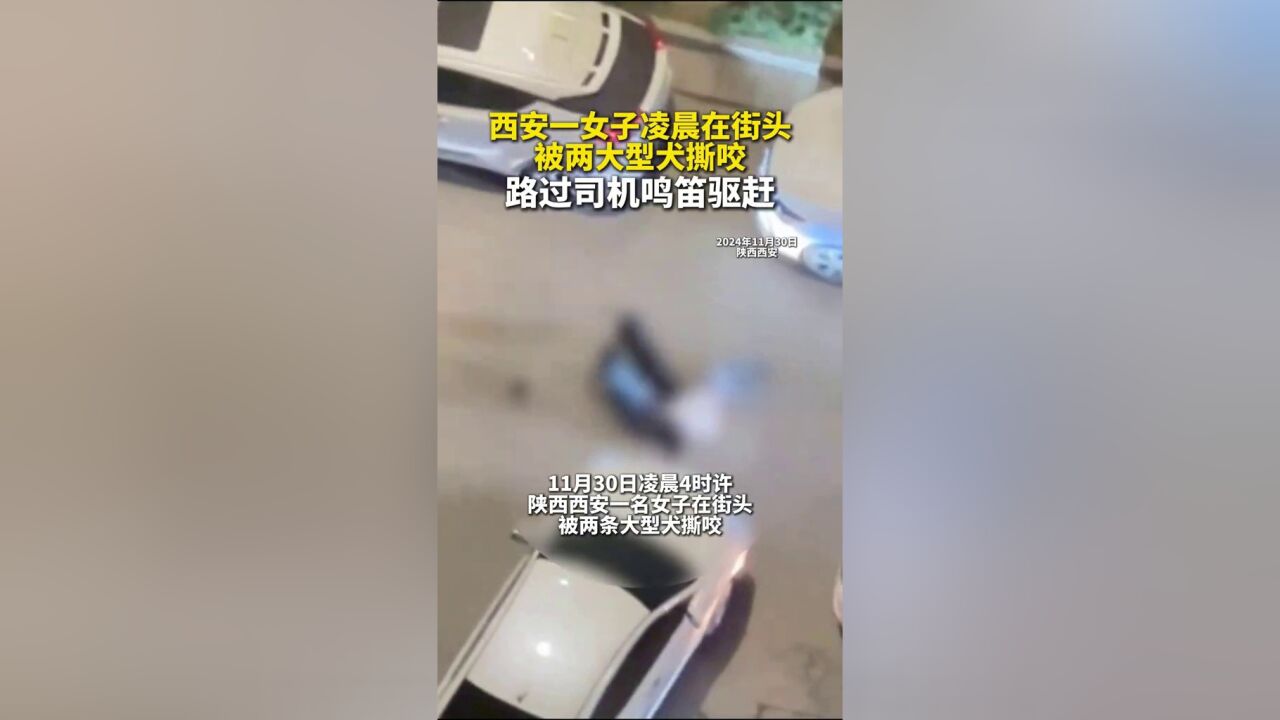 西安一女西凌晨在街头被两大型犬撕咬,路过司机鸣笛驱赶