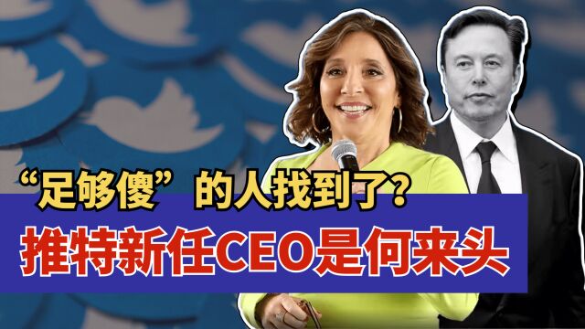 马斯克接班人,推特新任女CEO什么来头?推特未来将如何变革?