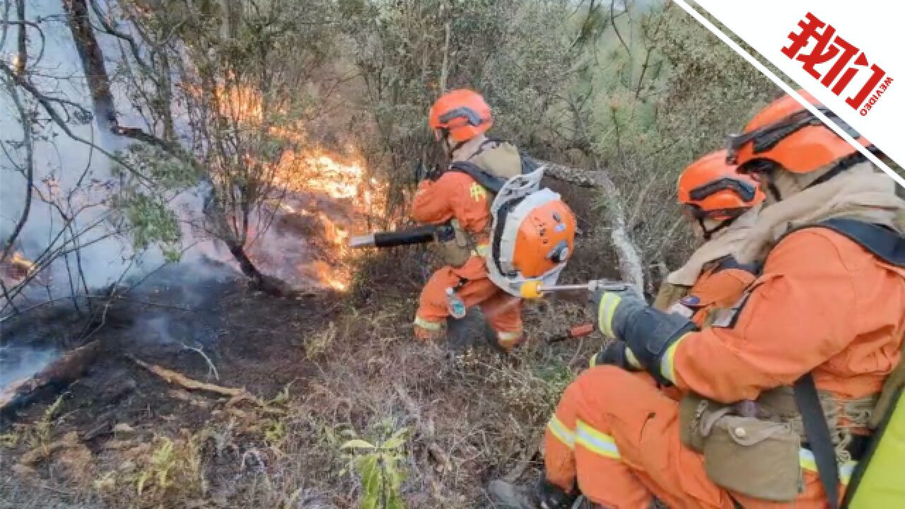 直击云南丽江、玉溪两地森林火灾扑救:直升机出动 增派313名指战员