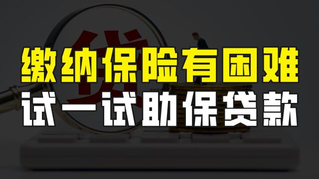 想缴纳养老保险,但暂时有困难、手头不充裕的,可以试试助保贷款