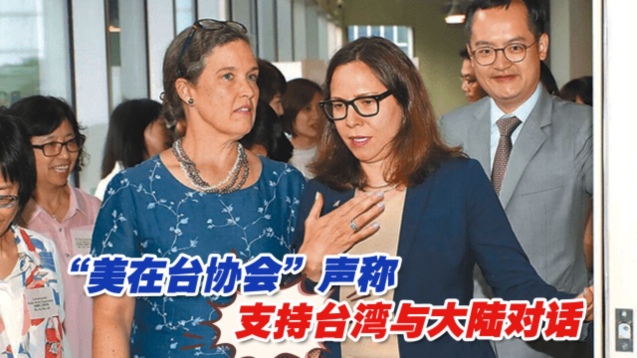 “美在台协会”声称支持台湾与大陆对话,岛内政治人物解读