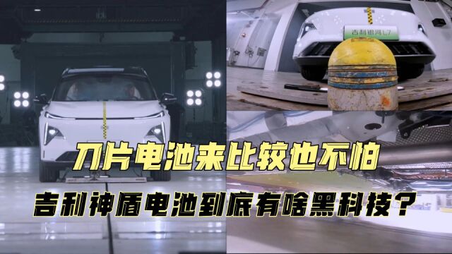 刀片电池来比较也不怕,吉利神盾电池到底有啥黑科技?