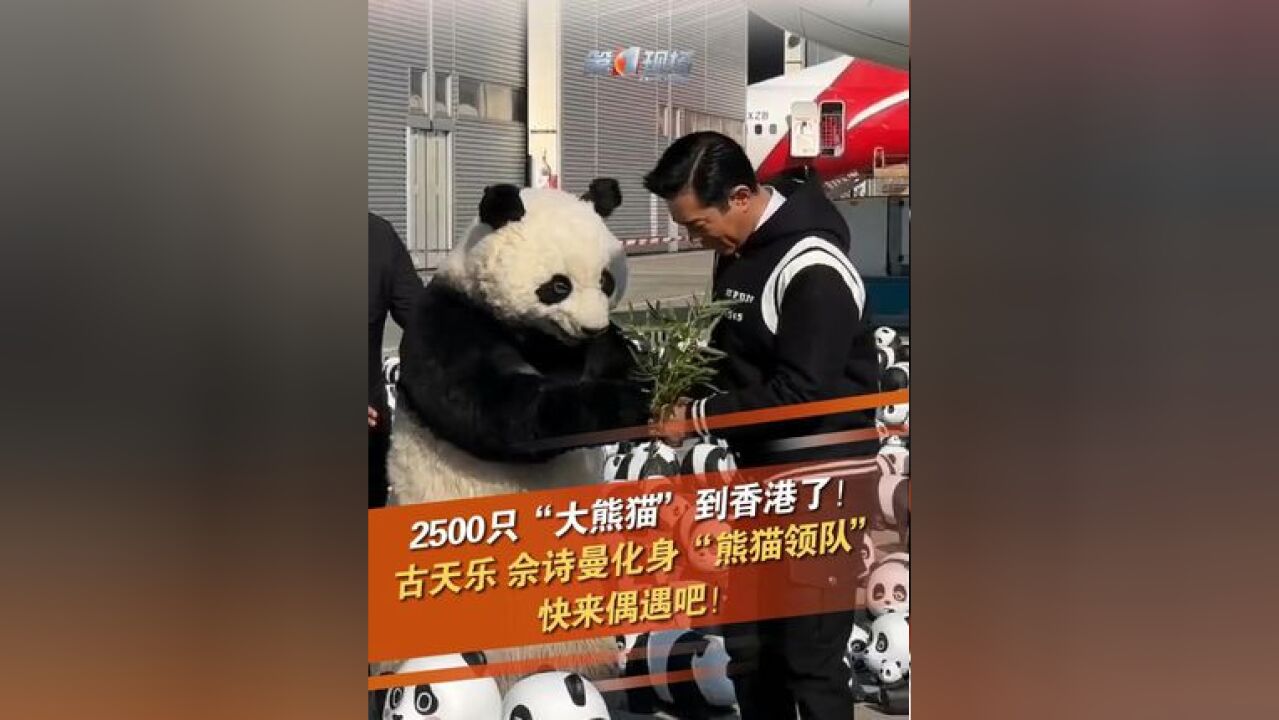 12月2日,香港最大型熊猫主题展览《PANDA GO!香港游》在香港国际机场举行欢迎仪式,2500只大熊猫雕塑惊喜亮相