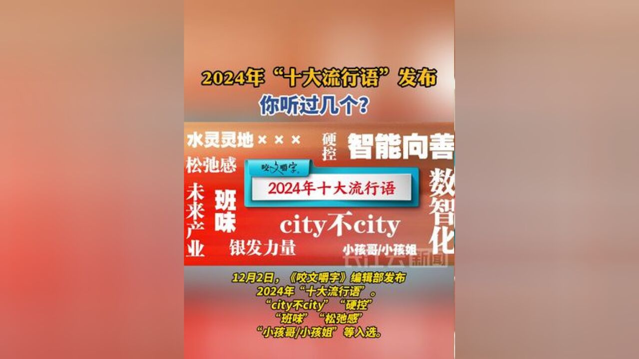 2024年“十大流行语”发布,“city不city”“小孩哥/小孩姐”等入选,你听过几个?