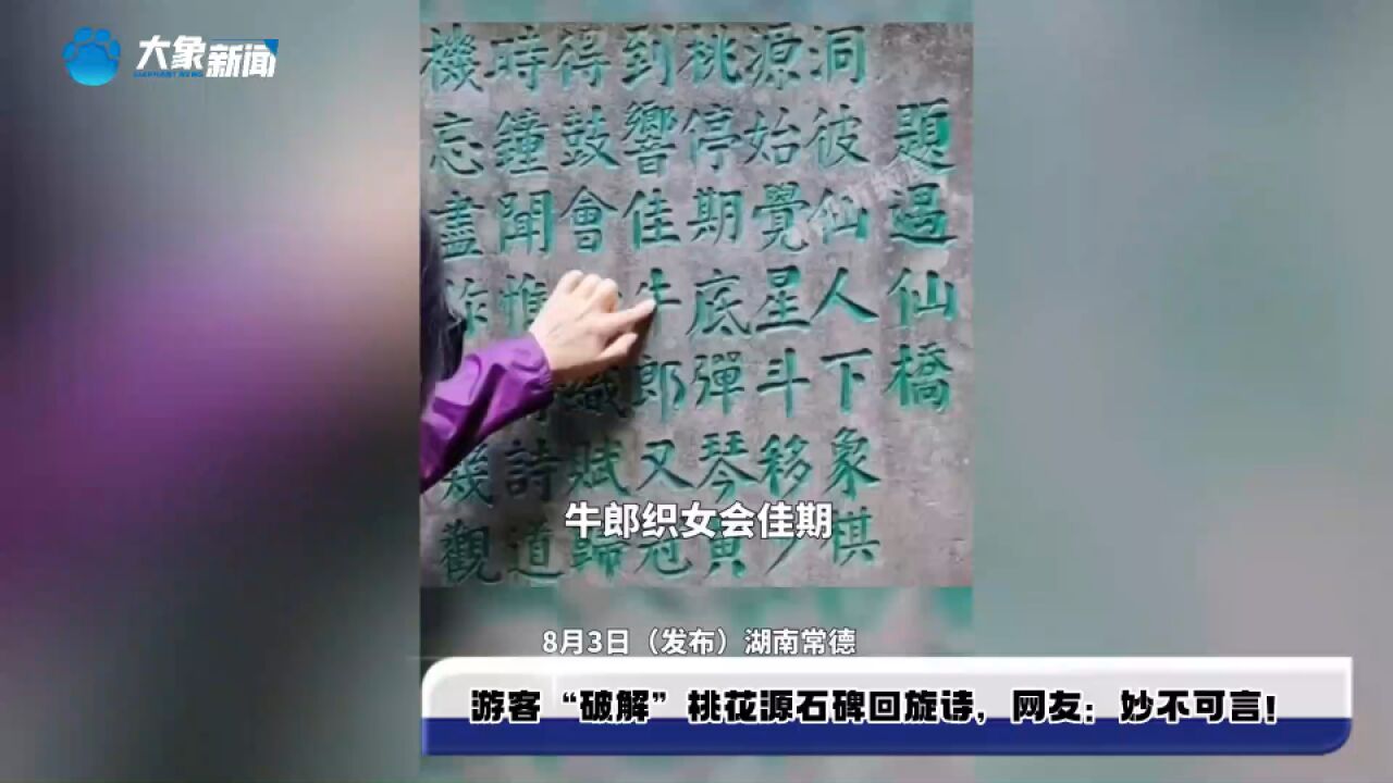 49字石刻读出56字七言诗,游客“破解”桃花源石碑回旋诗,网友:中文之美,妙不可言!