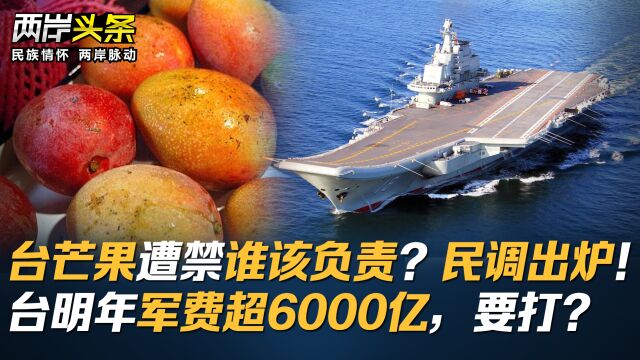 台芒果遭禁谁该负责?民调出炉!台明年军费超6000亿,要打?