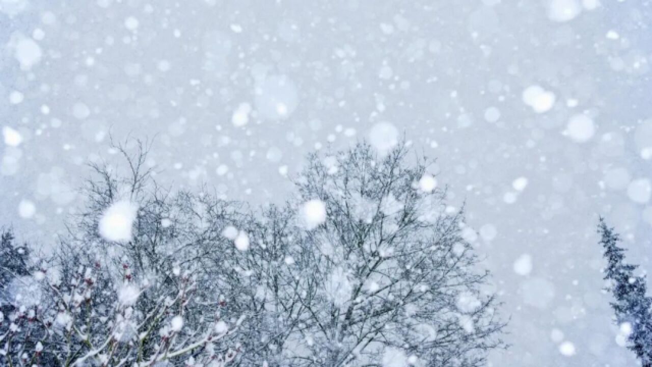 周末起天气迎转折!中东部地区或连迎两轮大范围雨雪天气