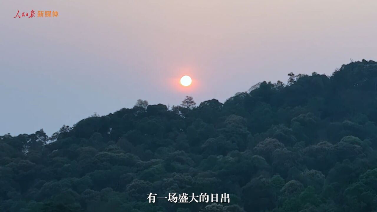 景迈山是个什么山?航拍云南普洱森林里的世界遗产