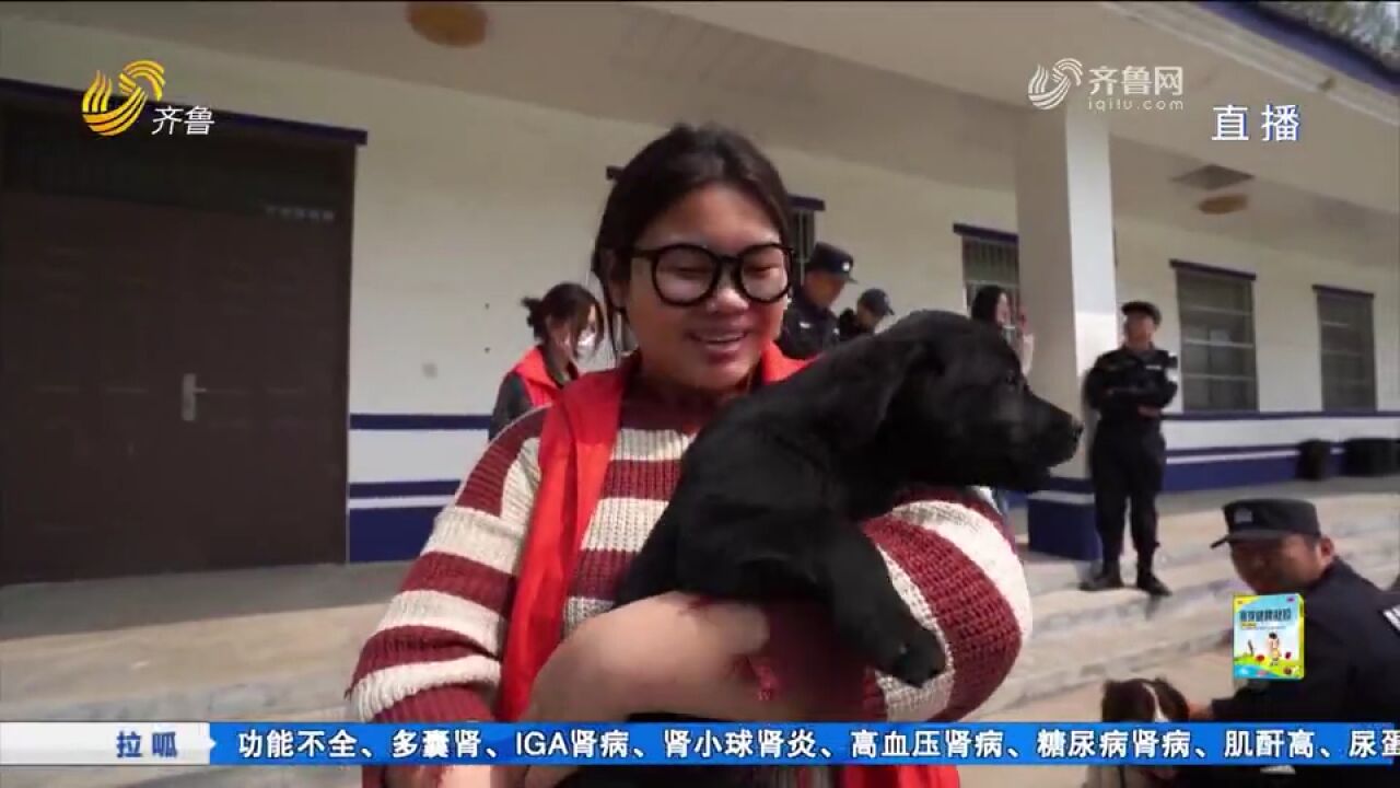 警犬训练基地警营开放日,“汪汪队”受欢迎,来看它的日常训练