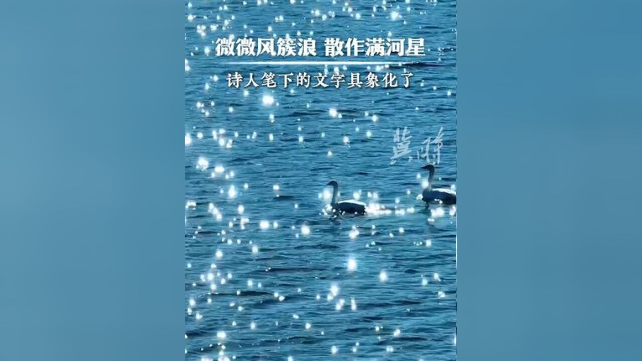 “冀”情山水 微微风簇浪 散作满河星 诗人笔下的文字具象化了