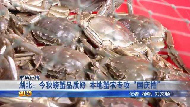 湖北今年螃蟹品质好,亩产超300斤,价格比去年每斤高出10元