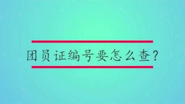 团员证编号要怎么查?