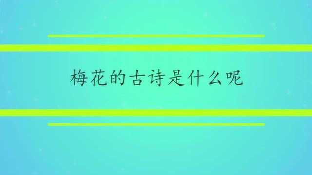 梅花的古诗是什么呢?