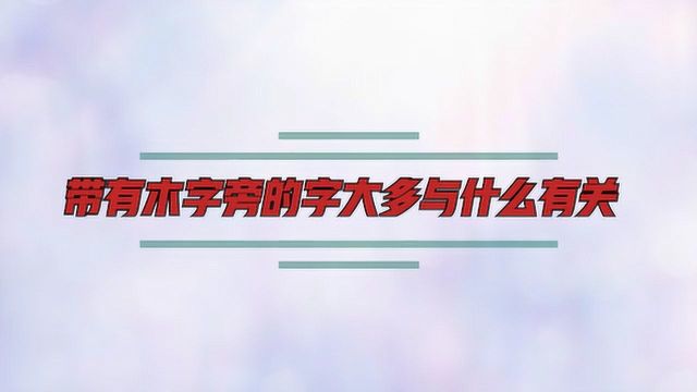 带有木字旁的字大多与什么有关?